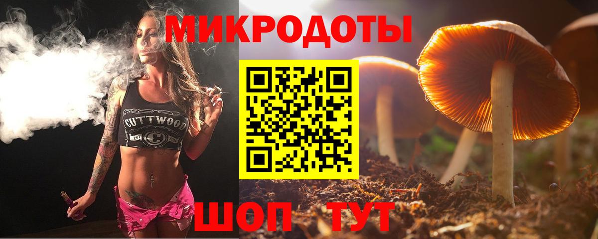 Псилоцибиновые грибы мицелий Киселёвск