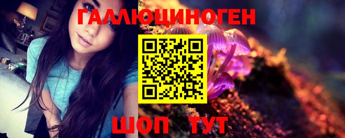 Псилоцибиновые грибы Psilocybe  Вход с VPN  Киселёвск 